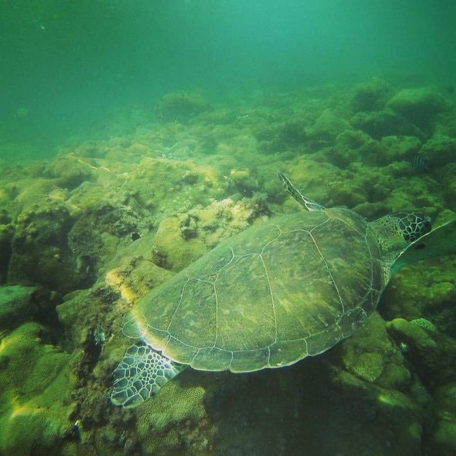 Saracura Otel Praia de Araçatiba Dış mekan fotoğraf