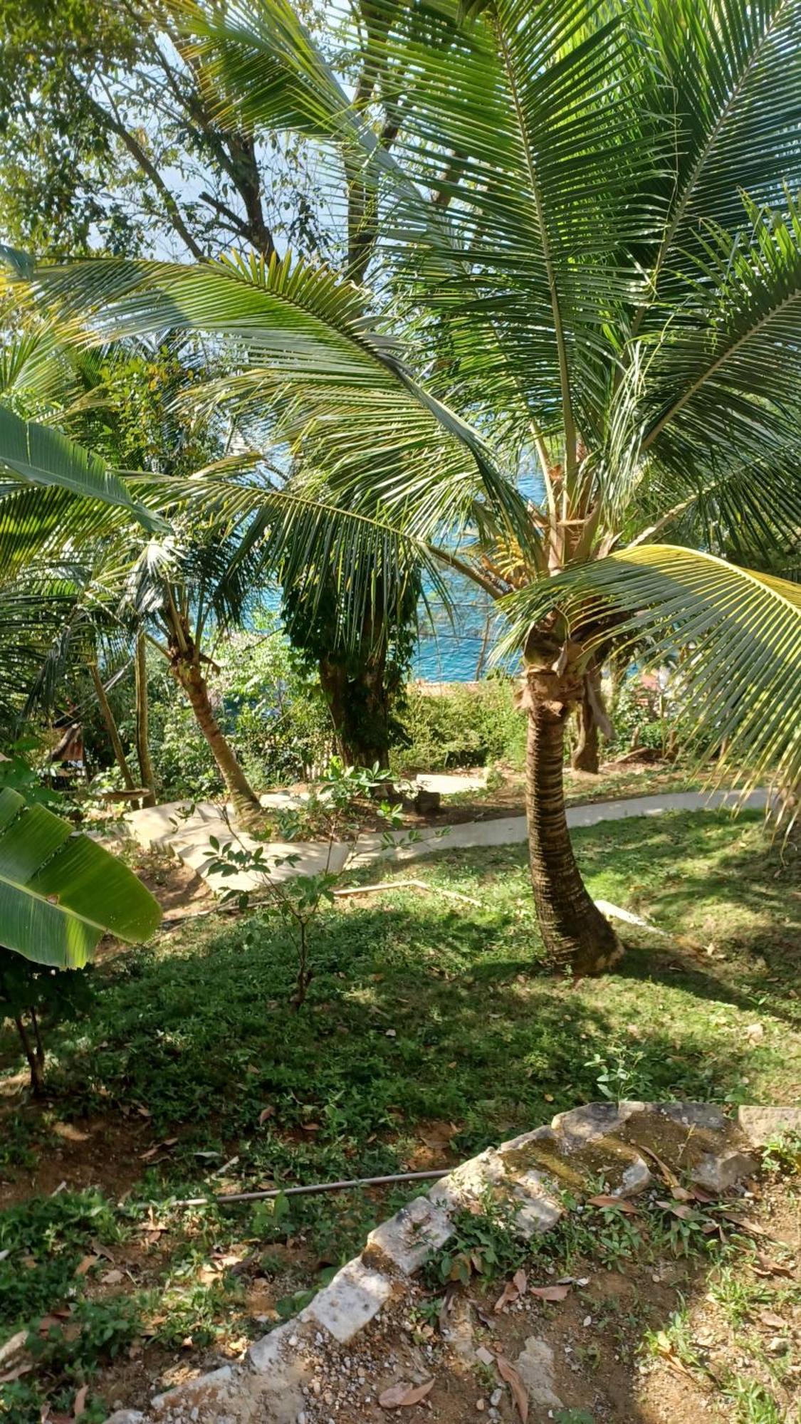 Saracura Otel Praia de Araçatiba Dış mekan fotoğraf